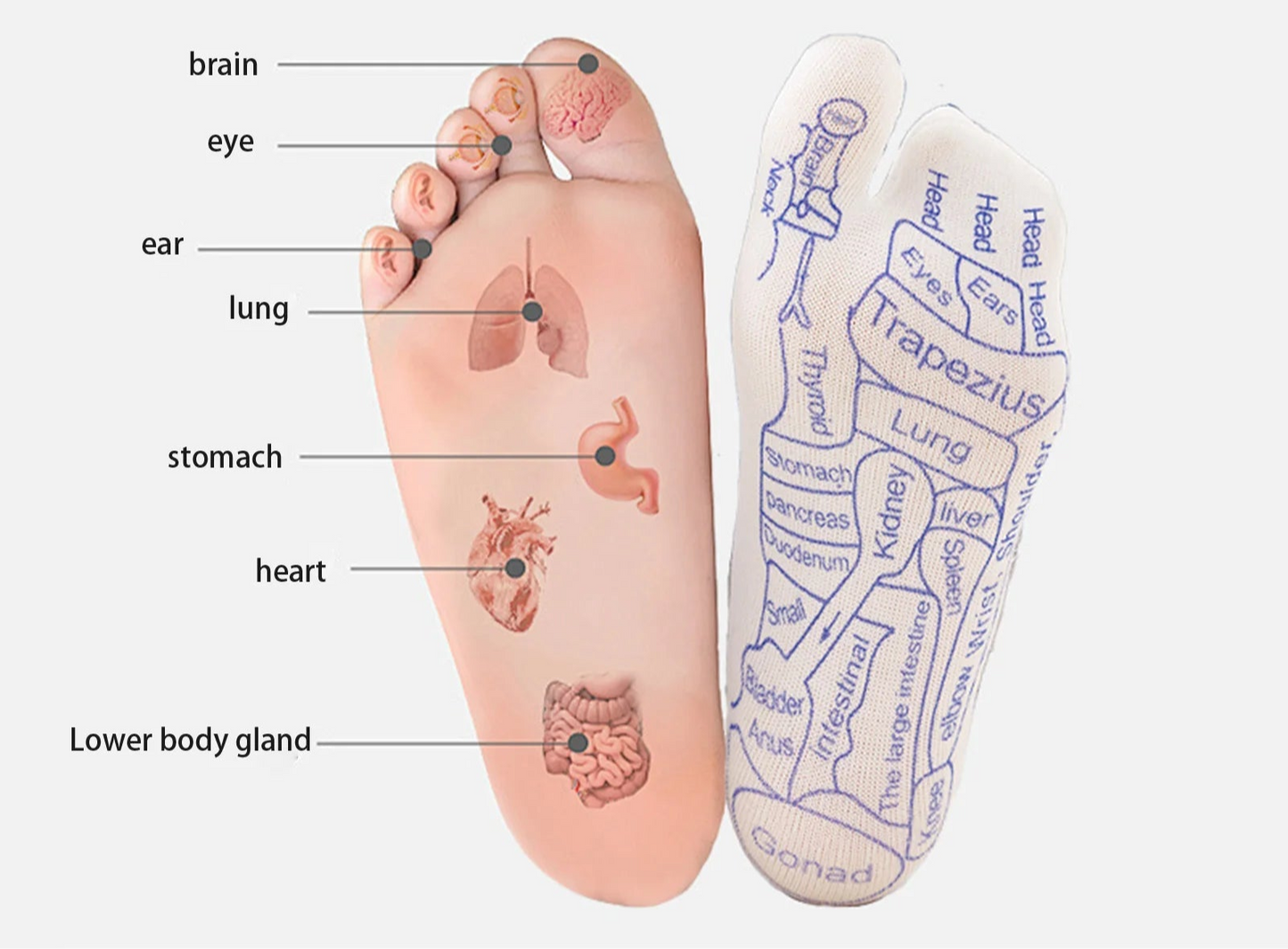 Chaussettes d'acupuncture pour le massage des pieds - Tresors asiatiques