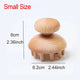 Outil de massage corporel en bois - Tresors asiatiques