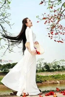 Robe et pantalon vietnamiens Ao Dai pour femmes - Tresors asiatiques