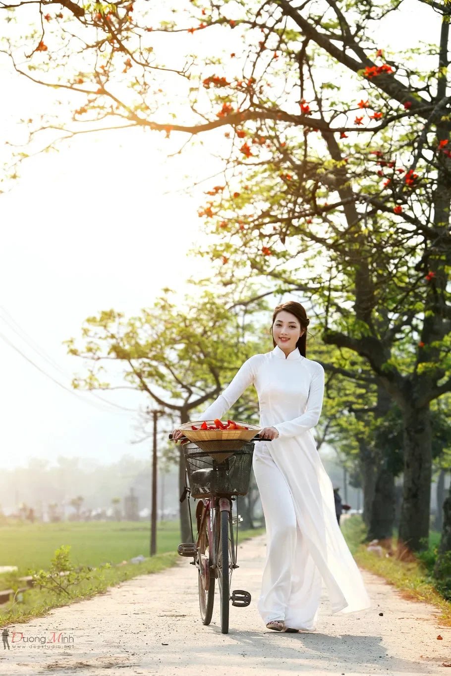 Robe et pantalon vietnamiens Ao Dai pour femmes - Tresors asiatiques