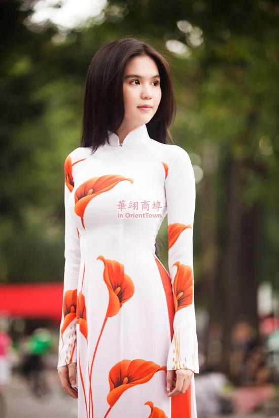 Robe traditionnelle vietnamienne Ao dai - Tresors asiatiques